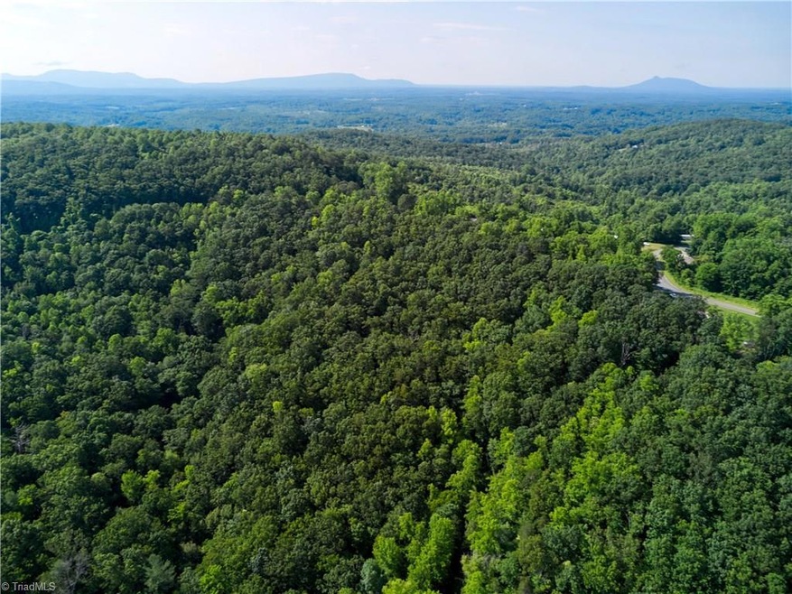 Distant Mountains Hanging Rock, Sauratown and Pilot Knob.