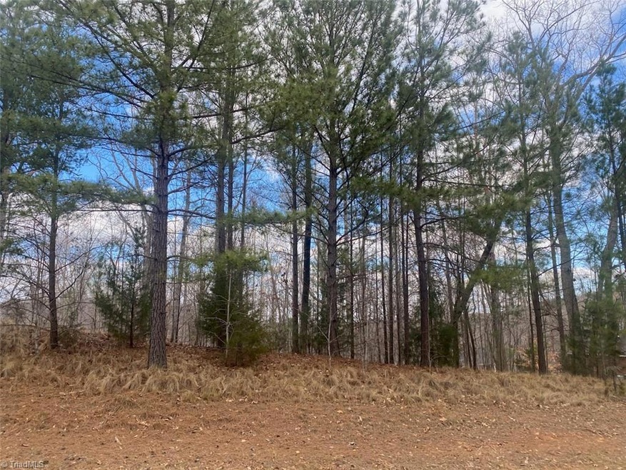Lot 56 E Chamberlin Dr, Asheboro, NC 27205 - photo 1