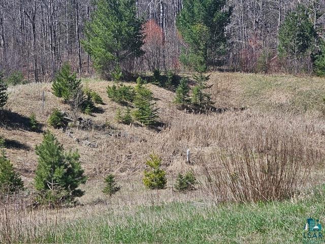 xx Trinity Rd, Duluth, MN 55811 - photo 1