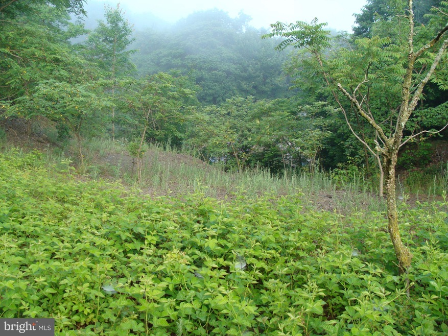 1445 Upper Bailey Rd, Newport, PA 17074 - photo 1