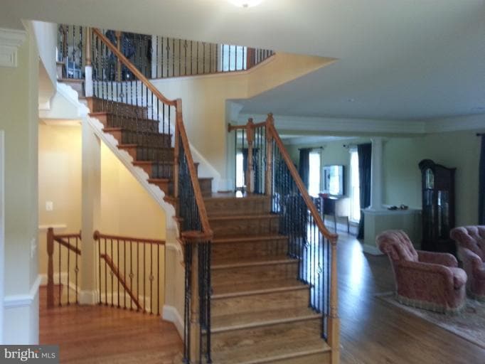 22083 Auction Barn Dr, Ashburn, VA 20148 - photo 1