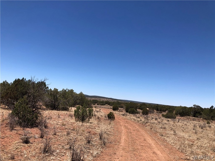 40 Acres Off of Denny 5, Seligman, AZ 86337 - photo 1