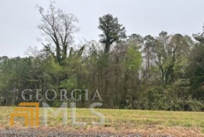 HWY Highway 411, Oakman, GA 30732 - photo 1