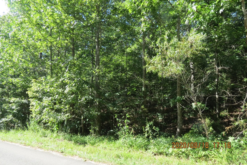 0 Hurricane Loop, Tennessee Ridge, TN 37178 - photo 1