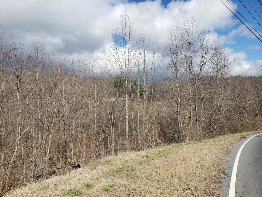 TBD Meadow View Rd, Bristol, TN 37620 - photo 1