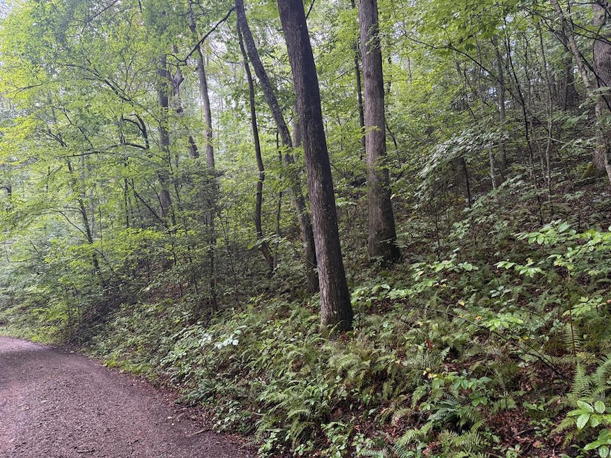 Lot 19 Cedar Hill Rd, Franklin, NC 28734 - photo 1