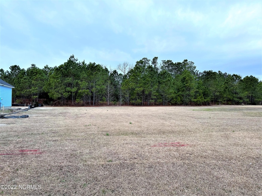 458 Summerhouse Dr, Holly Ridge, NC 28445 - photo 1