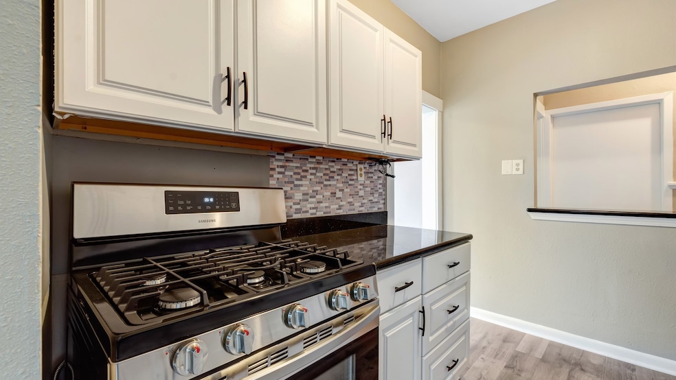 GAS STOVE FOR THE HOME CHEF!
