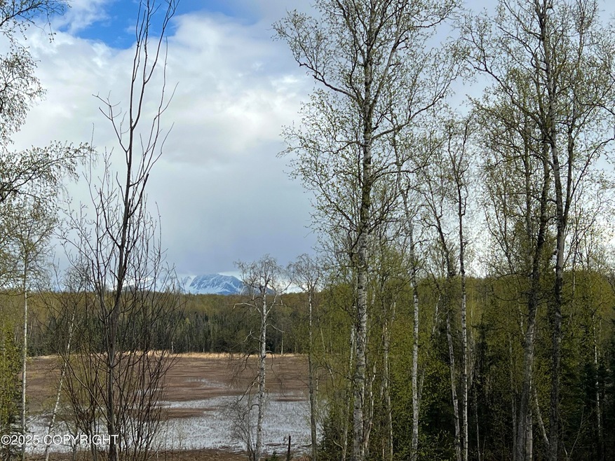 Across Street Mtn & Pond View