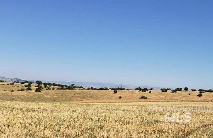 1324 Highway 95, Mesa, ID 83643 - photo 1