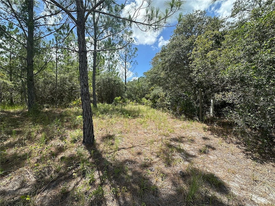 796 Fisher Rd, Ocklawaha, FL 32179 - photo 1