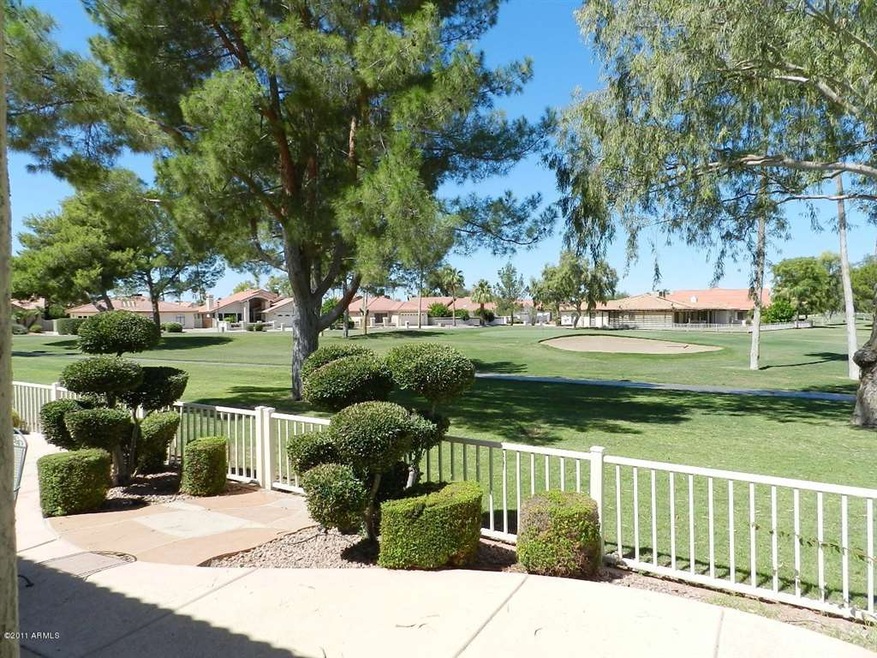 Back Yard View