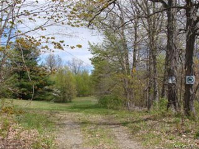 168 Hilltop Rd, Rhinebeck, NY 12572 - photo 1