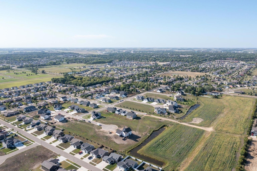Drone View