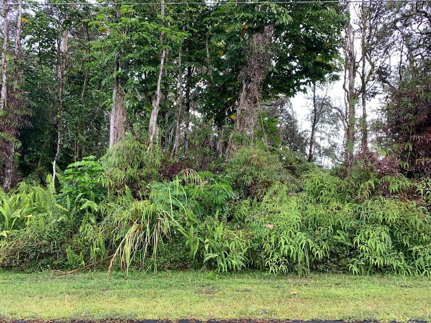 0 S Lai St unit 717712, Pahoa, HI 96778 - photo 1