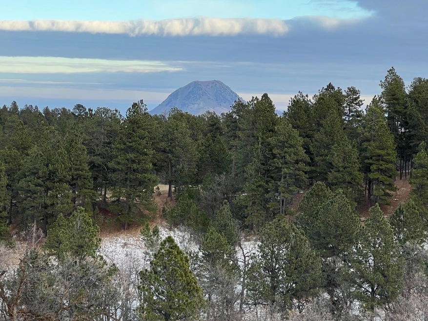 Lot 19 Summit Pass unit Dakota Highland Esta, Whitewood, SD 57793 - photo 1