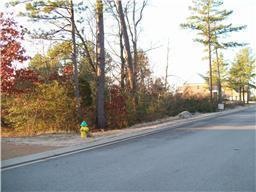 0 Country Club Dr unit RTC1656499, Dickson, TN 37055 - photo 1