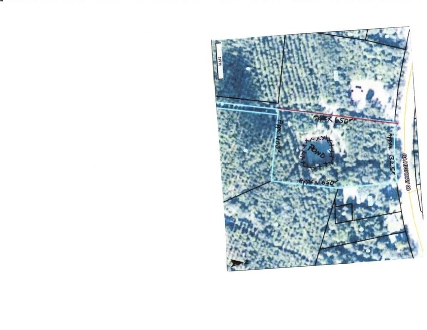 LOT81 Crescent Farm Hwy, Crescent, GA 31319 - photo 1