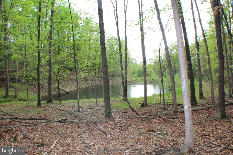 24.18 Acres Pumpkin Center Rd, Dorcas, WV 26847 - photo 1