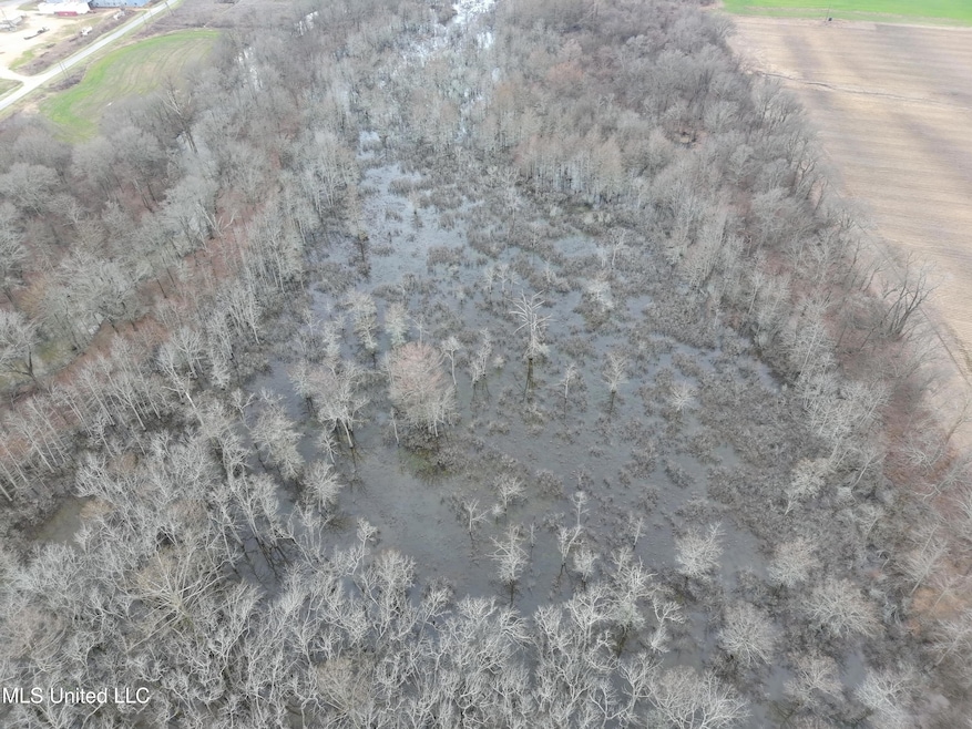 0 County Road 526 unit 4103391, Minter City, MS 38944 - photo 1