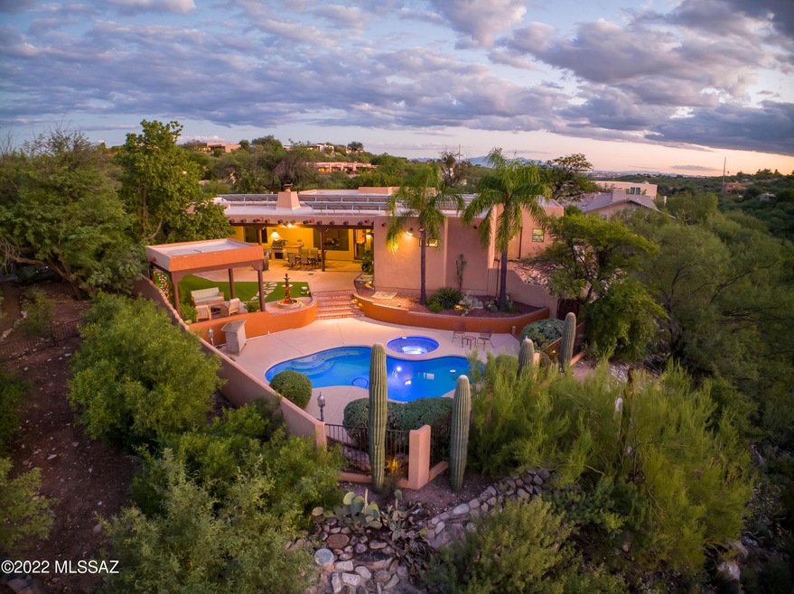 Entertainer's Backyard