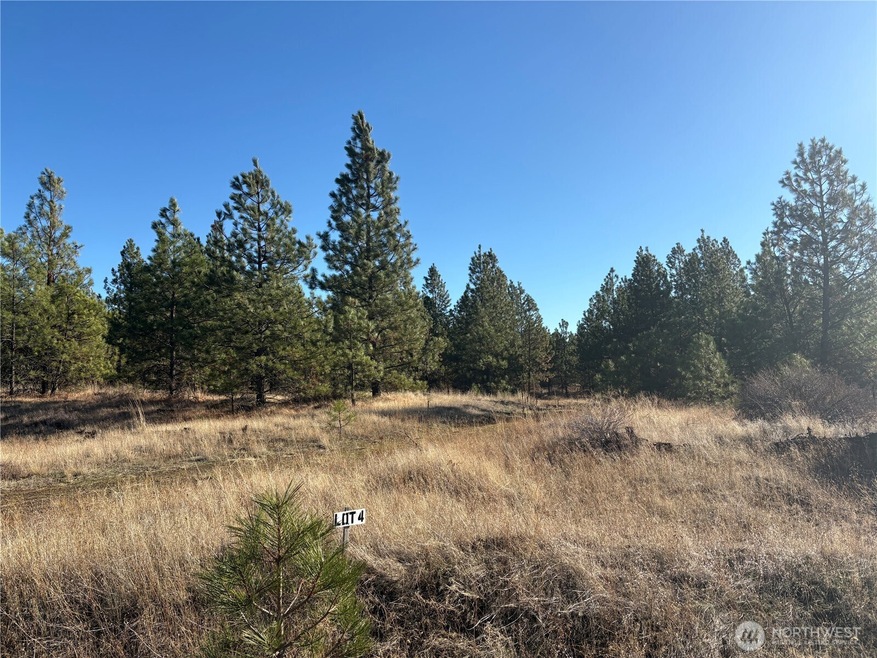 35410 Prairie Ln N unit Lot 4, Creston, WA 99117 - photo 1