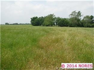 Hay Meadow