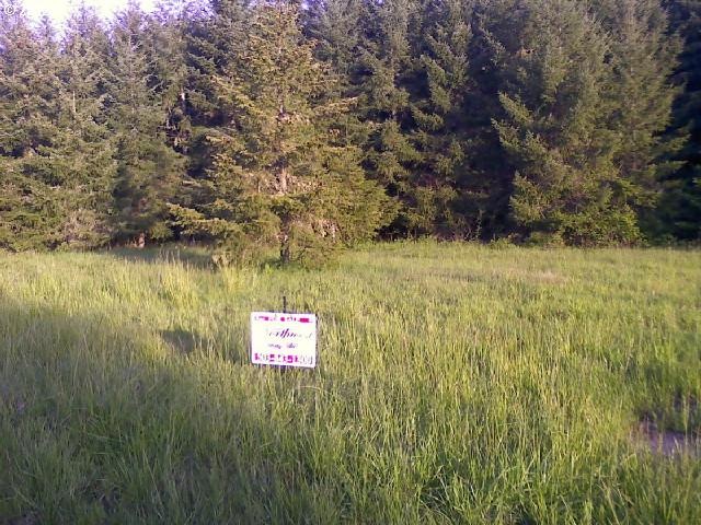 0 Savage Rd unit 13200271, Sheridan, OR 97378 - photo 1