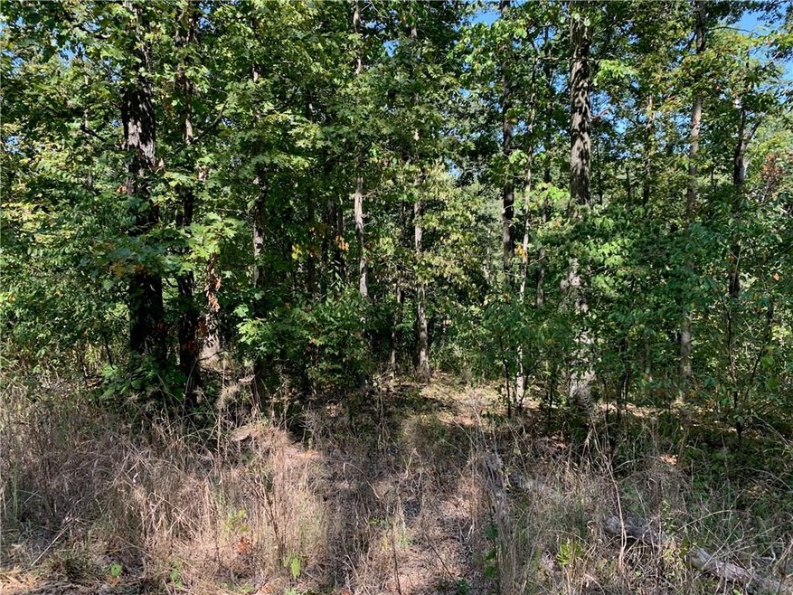 Lots 6 and 7 Brooks Cir, Bella Vista, AR 72714 - photo 1