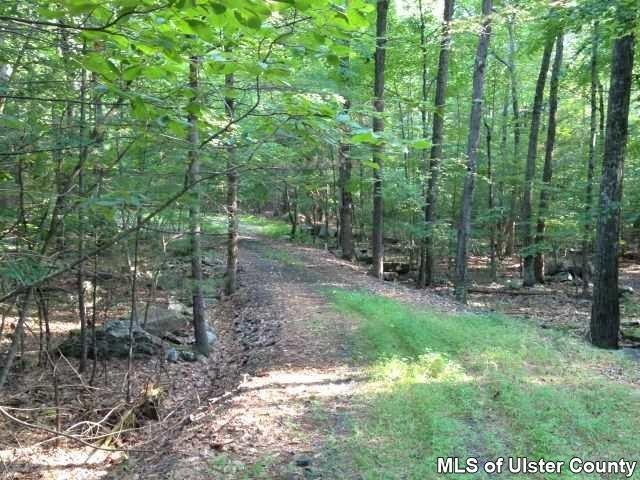 TBD Kripplebush Rd, Marbletown, NY 12404 - photo 1