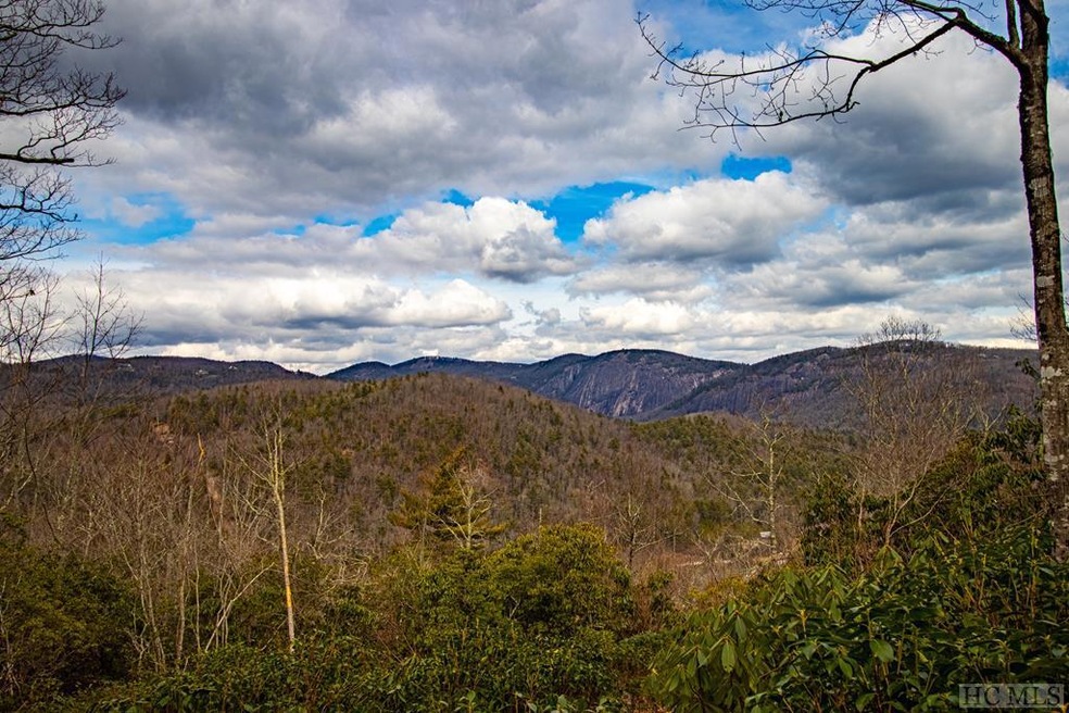 Lot 5 W Rochester Dr, Cashiers, NC 28717 - photo 1