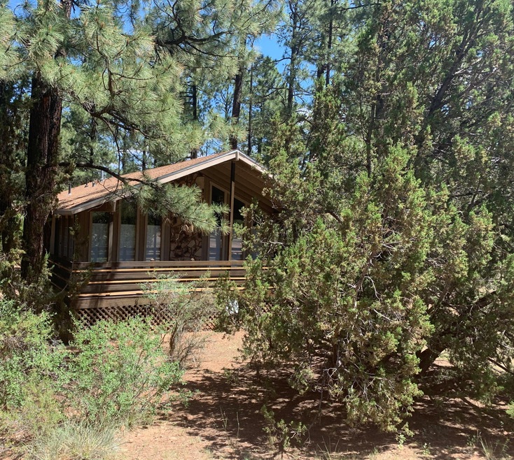 Nestled in the woods