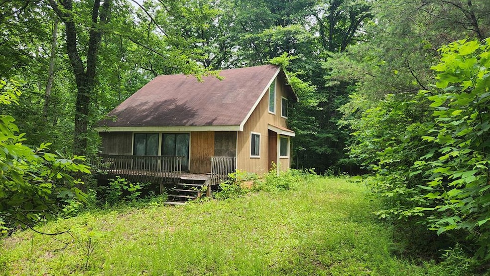 Main View