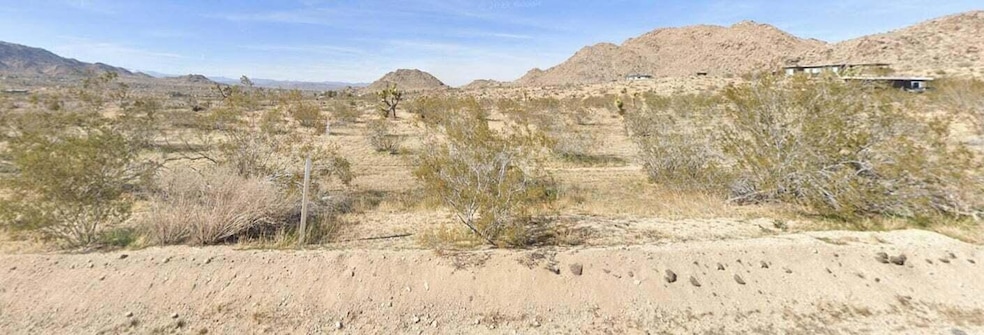 8825  in Joshua Tree