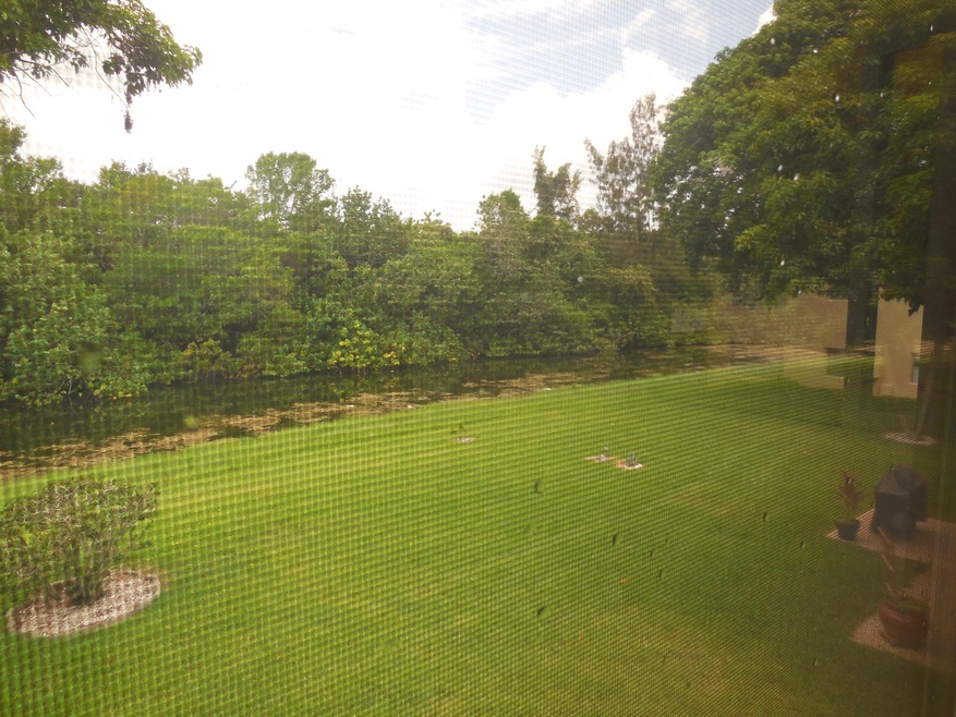 80 Windsor D, West Palm Beach, FL 33417 - photo 1