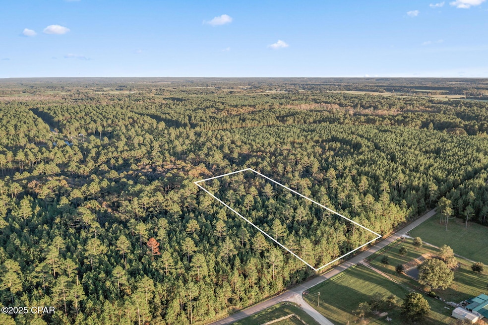 XXX Parrish Still Rd, Vernon, FL 32462 - photo 1