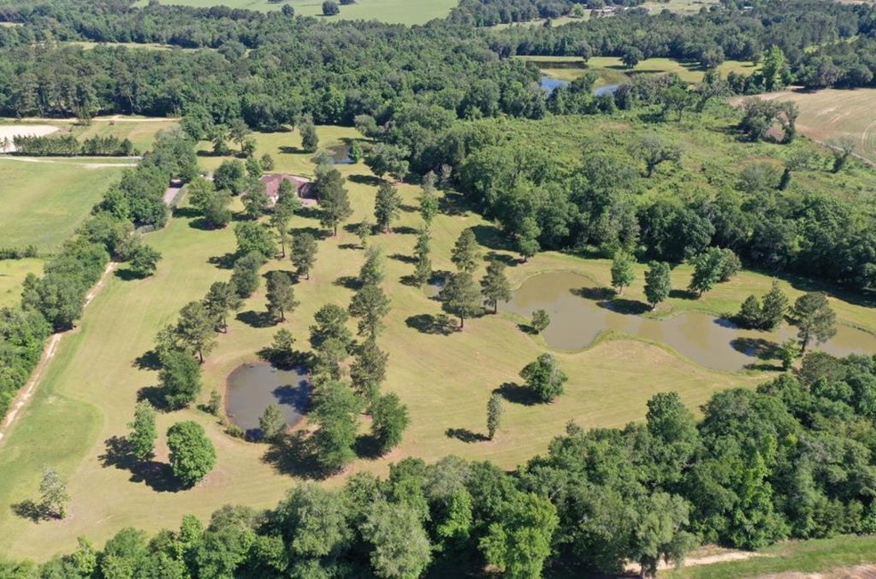 270 Little Creek Rd, Pavo, GA 31778 - photo 1