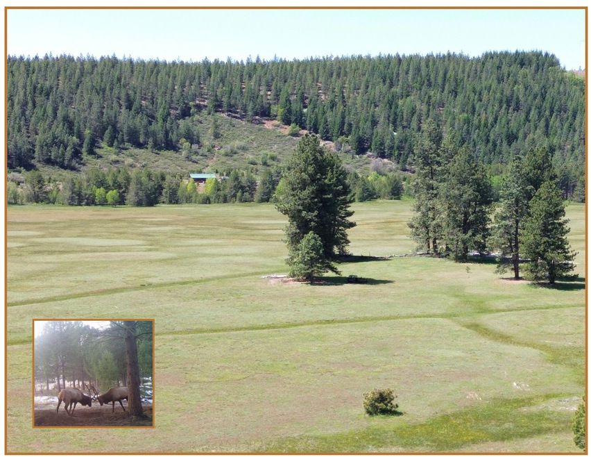 Elk Meadow Ranch