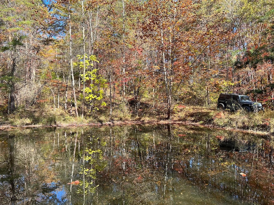 Pond
