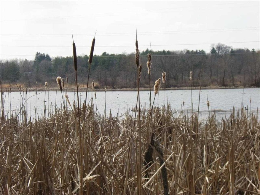 2589 Lalor Rd, Oregon, WI 53575 - photo 1