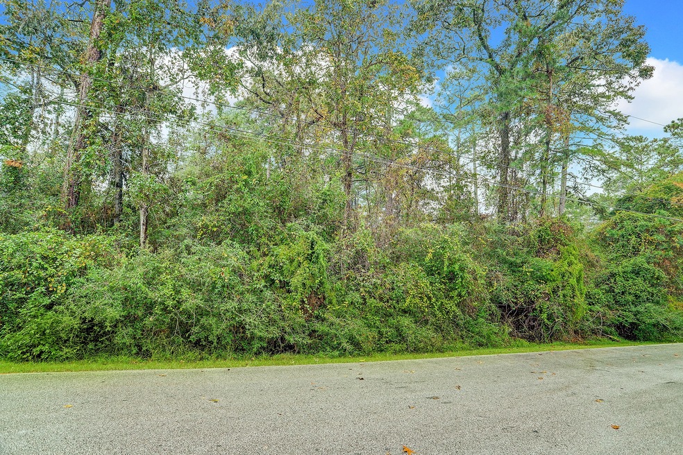 14 W Lake Forest Ct, Conroe, TX 77384 - photo 1