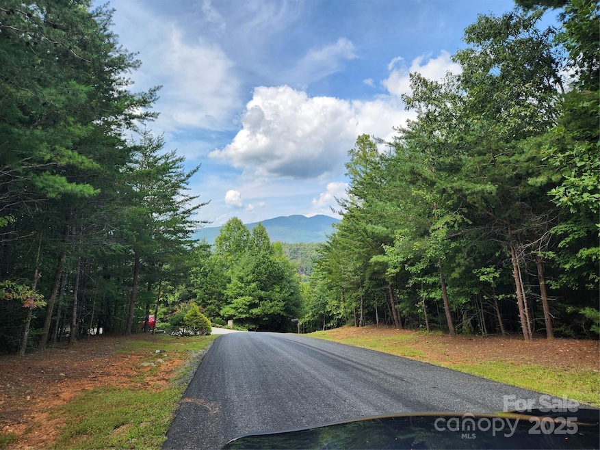 View from street towards Grandfather mountain