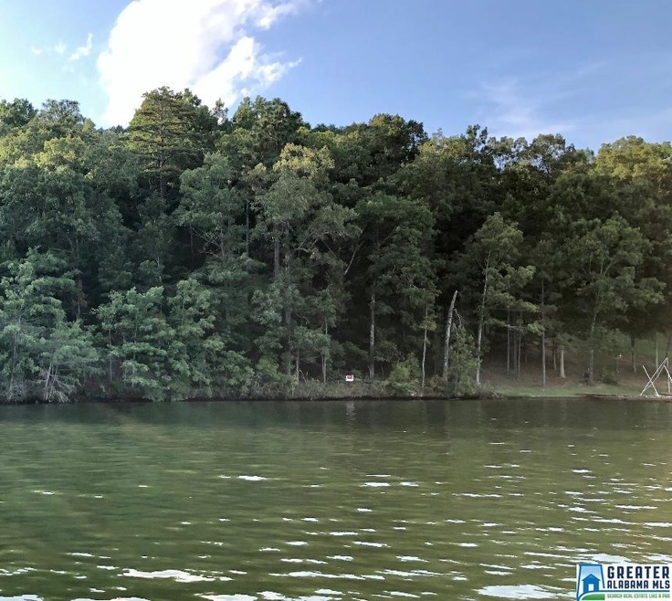 0 County Road 3292 unit 1 854493, Wedowee, AL 36278 - photo 1
