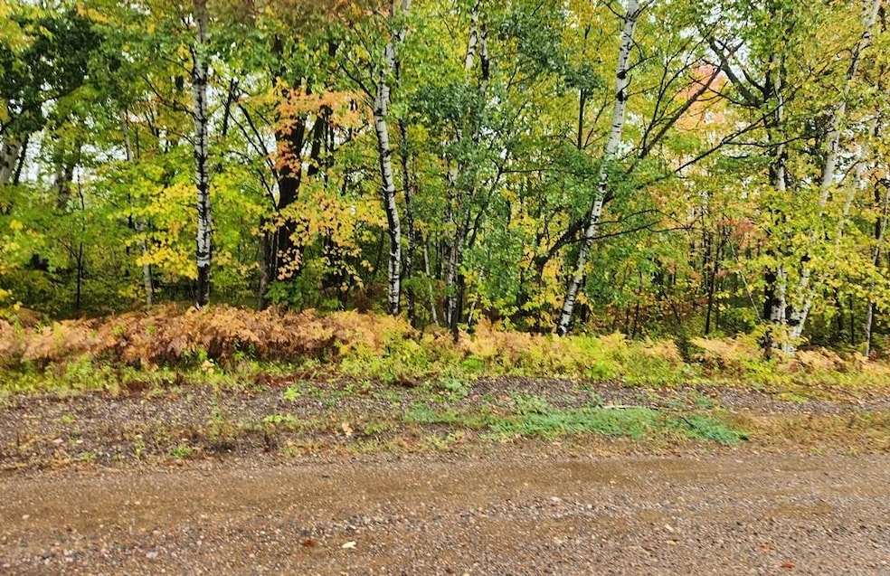 0 Holden Rd Unit Prt NW1/4 NE1/4, Rib Lake, WI 54470 MLS 22234550