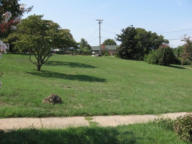 View of Lot