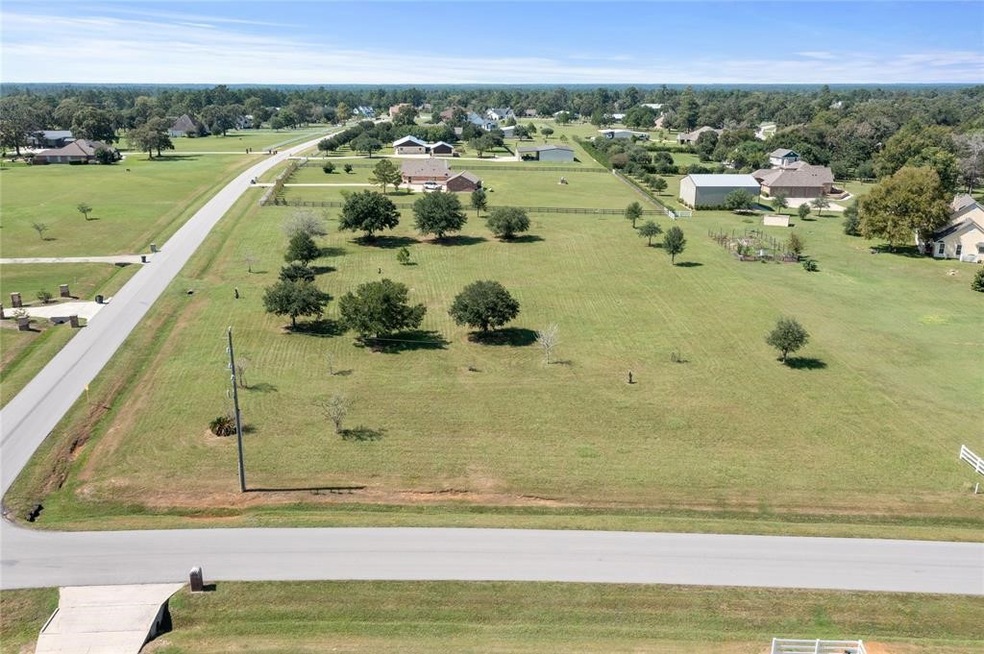 34110 Sanders Ranch Rd, Magnolia, TX 77355 - photo 1