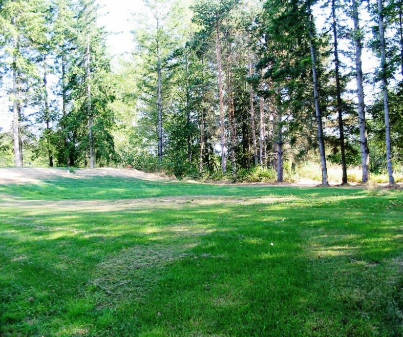 9317 Stein Rd, Custer, WA 98240 - photo 1