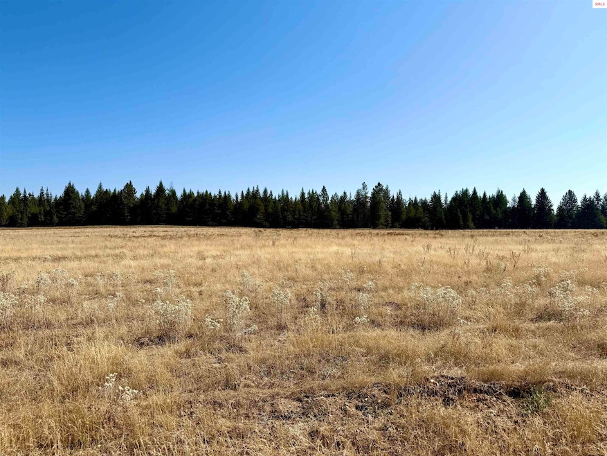 NKA N Stonemason Way, Rathdrum, ID 83858 - photo 1