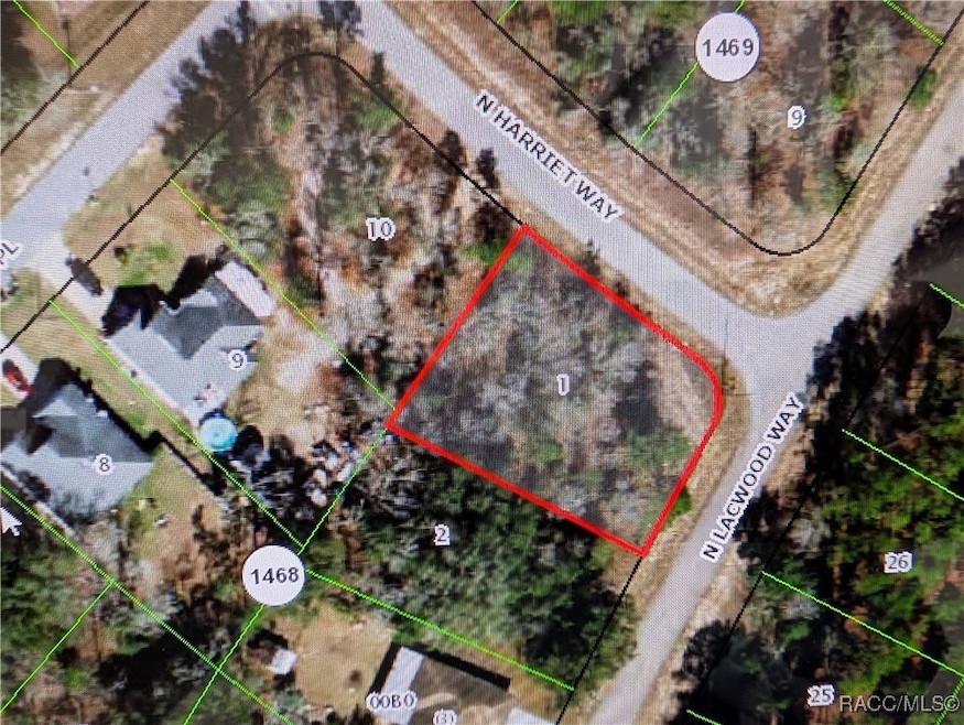 10946 N Robert Dean Way, Citrus Springs, FL 34434 - photo 1