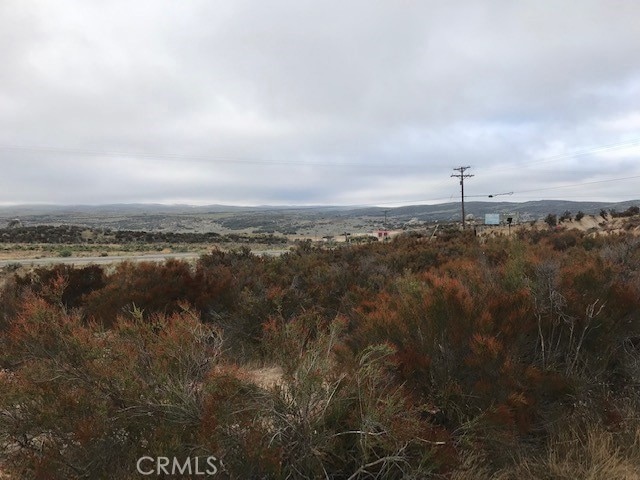 0 Cary Rd unit SW23170271, Anza, CA - photo 1